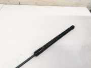 Gasfeder f?r Motorhaube Volkswagen Caddy, III 2004.03 - 2010.09 Gebraucht, bst