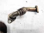 Rohrleitung AGR-Ventil Volkswagen Passat, B5+ 2000.11 - 2005.05 038131521L, Avb