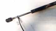 Gasdruckfeder Kofferraum Citroen C5, I 2001.03 - 2008.02 9640894580,