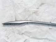 Dachreling Linke Toyota Corolla Verso, II 2001.09 - 2004.05 Gebraucht,