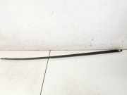 Zierleiste Leiste - Vorne Rechts Volkswagen Phaeton, 2002.04 - 2006 Gebraucht, BMK