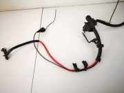 Kabelbaum Mazda 6, 2002.06 - 2007.08 Gebraucht,