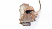 Bremssattel - Vorne Rechts Volvo V50, 2004.04 - 2007.05 Gebraucht,