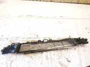 K?hlergrill - Vorne Center Tesla Model Y, 2020 --> 149375900a,1493759-00-a