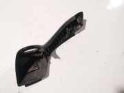 Schutzleiste T?r - Vorne Linke Renault Laguna, II 2001.03 - 2006.05 Gebraucht,