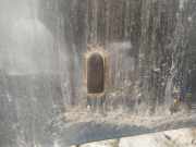 Waschwasserdüse Scheibenreinigung Volkswagen Passat, B4 1993.07 - 1996.08 Gebraucht, 1Z