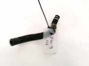 K?hlerschlauch Lexus GS, III 2007.06 - 2011.06 facelift Gebraucht,