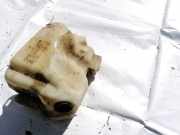 Scheibenwaschbehälter Vorne Wischwasserbehälter Renault Megane, II 2002.11 - 2006.06 8200104705,