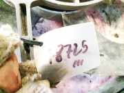 Kühlerlüfter Lüftermotor Renault Laguna, II 2001.03 - 2006.05 Gebraucht,