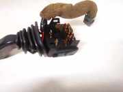 Blinkerschalter Opel Zafira, A 1999.04 - 2003.11 90560990, 90560991