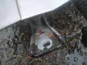 Türscharnier Vorne Cadillac SRX 2004.01 - 2009.12 Gebraucht ,