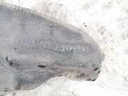 Radhausschale - Hinten Linke Mazda CX-7, 2006.01 - 2012.12 Gebraucht ,