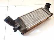Ladeluftkühler Peugeot 407, 2004.05 - 2010.12 9645682880,874823nk
