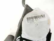 Sicherheitsgurt - Hinten Rechts Opel Insignia A, 2008.01 - 2013.01 502xd1l24a, 306106999p10-ag