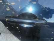 T?rgriff T?raussengriff - Hinten Rechts Nissan Primera, P12 2002.01 - 2008.12 Gebraucht,