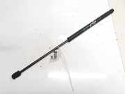Gasdruckfeder Kofferraum Fiat Stilo, 2001.10 - 2007.01 8323nz380n,