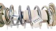 Fahrwerksfeder vorne Chevrolet Captiva, 2006.01 - 2011.06 Gebraucht,