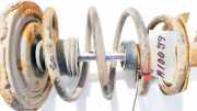 Fahrwerksfeder vorne Nissan Primera, P12 2002.01 - 2008.12 Gebraucht,
