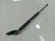 Gasdruckfeder Kofferraum Toyota Avensis, II 2003.04 - 2006.03 6896005072,6896005072