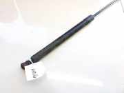 Gasdruckfeder Kofferraum Audi Q7, 2006.03 - 2010.05 4L0827552C,4L0827552C