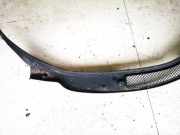 Windlauf Wischerabdeckung Fiat Ulysse, II 2002.06 - 2014.12 1491254077,1490069077