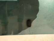 Waschwasserdüse Scheibenreinigung Ford Focus, 1998.10 - 2002.10 Gebraucht,