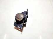 Wasserpumpe Renault Scenic, I 1996.01 - 1999.09 Gebraucht,