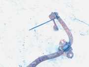 Stabilisator Stabi Hinten Hinterachse Mazda 6, 2002.06 - 2007.08 Gebraucht,