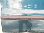 Zierleiste Tür Zier-Schutzleiste - Vorne Rechts Fiat Brava, 1995.10 - 2002.12 Gebraucht,