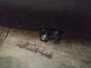 Heckklappe Heckklappenschloss Kofferraumschloss Citroen C4 Picasso, I 2006.01 - 2013.06 Gebraucht,