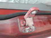 Türscharnier Vorne Volkswagen Touran, 2003.01 - 2006.10 Gebraucht , Avq