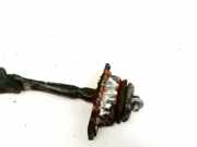 Türfangband Türbremse Türstopper - Vorne Linke Lancia Kappa, 1994.08 - 2001.10 Gebraucht ,