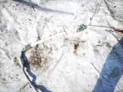 Kopfairbag - Vorne Linke Mazda 6, 2002.06 - 2007.08 gj6j,