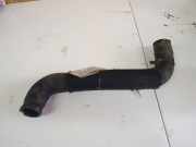 Kühlerschlauch Renault Vel Satis, 2002.06 - 2009.12 Gebraucht,