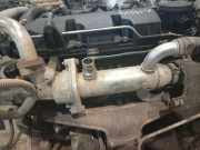 Abgaskühler AGR-Kühler Peugeot Expert, 2007.01 --> Gebraucht,