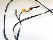 Kabelbaum Nissan Leaf, I 2010 - 2017.12 Gebraucht,