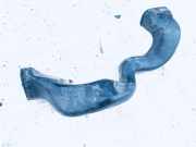 Schlauch für Luftversorgung Volkswagen Passat, B4 1993.07 - 1996.08 357819723, 1z