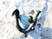 Schlauch f?r Luftversorgung Toyota RAV-4, III 2005.11 - 2012.12 1775128060,17751-28060