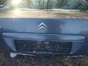 Kennzeichenleuchte Citroen C5, I 2001.03 - 2008.02 Gebraucht,