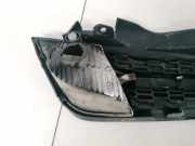 K?hlergrill - Vorne Linke Nissan Micra, K12 2003.01 - 2007.06 89036988,