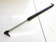 Gasdruckfeder Kofferraum Chrysler Voyager, III 1995.09 - 2001.03 Gebraucht,