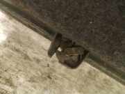 Heckklappe Heckklappenschloss Kofferraumschloss Rover 800 1992 - 1996 Gebraucht,