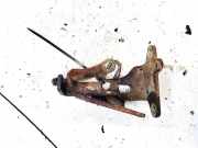 Motorhalterung und Getriebe (Motorhalterung) Citroen C3, I 2002.02 - 2005.06 Gebraucht,