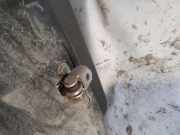 Türfangband Türbremse Türstopper - Hinten Rechts Opel Signum, 2003.05 - 2008.06 Gebraucht,