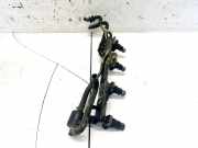 Kraftstoffverteiler Honda Civic, 2001.01 - 2005.09 Gebraucht,