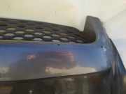 Kühlergrill Frontgrill Kühlergitter Hyundai Santa Fe, 2000.11 - 2006.03 Gebraucht,