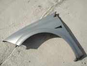 Kotflügel - Vorne Linke Renault Megane, II 2002.11 - 2006.06 pilkas,