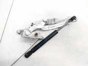 Lang Heckklappe Scharniere Scharnier Links Volkswagen Passat, B5 1996.08 - 2000.11 3B5827550A,