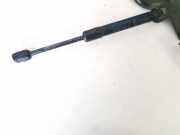 Gasfeder für Motorhaube Renault Scenic, III 2009.02 - 2013.06 654700008b,