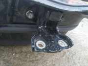 Türscharnier Hinten Chevrolet Captiva, 2006.01 - 2011.06 Gebraucht,